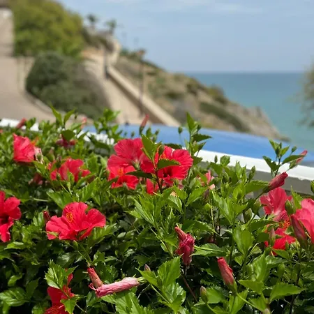 Akimaria * Oropesa del Mar